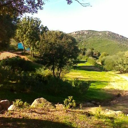 Farm Stay Gli Oleandri Loiri Porto San Paolo Eksteriør billede