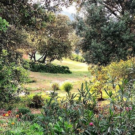 Farm Stay Gli Oleandri Loiri Porto San Paolo Eksteriør billede