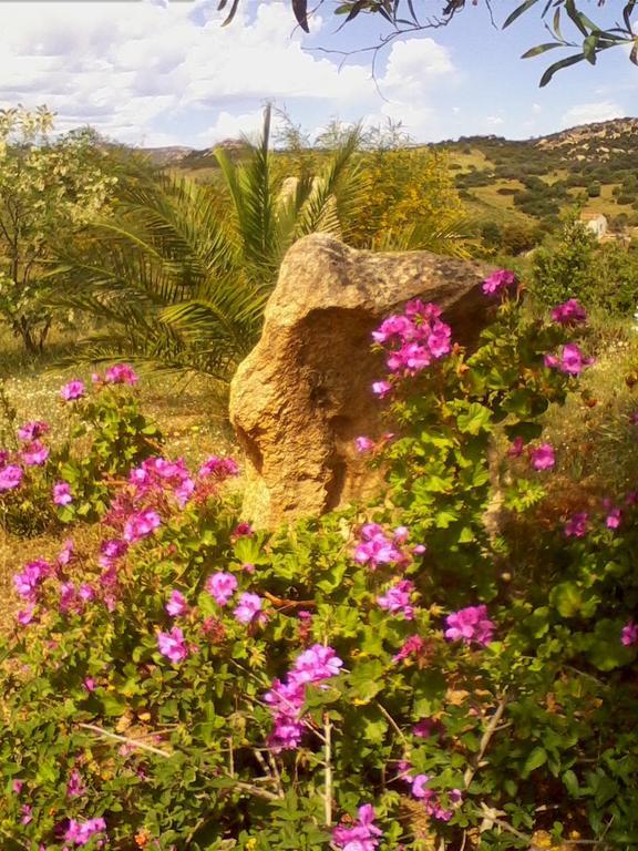 Farm Stay Gli Oleandri Loiri Porto San Paolo Eksteriør billede