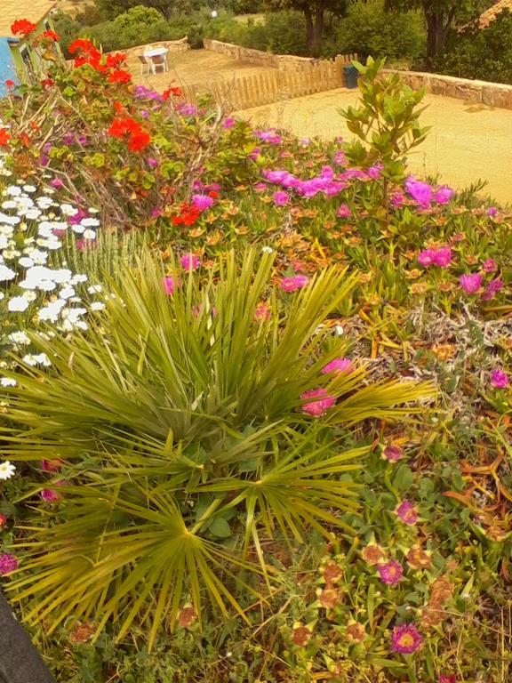 Farm Stay Gli Oleandri Loiri Porto San Paolo Eksteriør billede