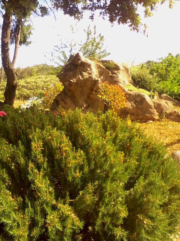 Farm Stay Gli Oleandri Loiri Porto San Paolo Eksteriør billede