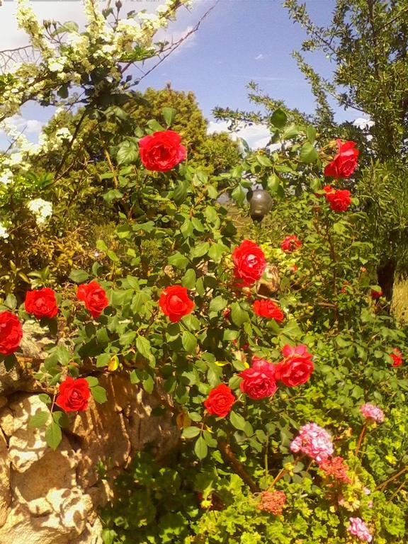 Farm Stay Gli Oleandri Loiri Porto San Paolo Eksteriør billede