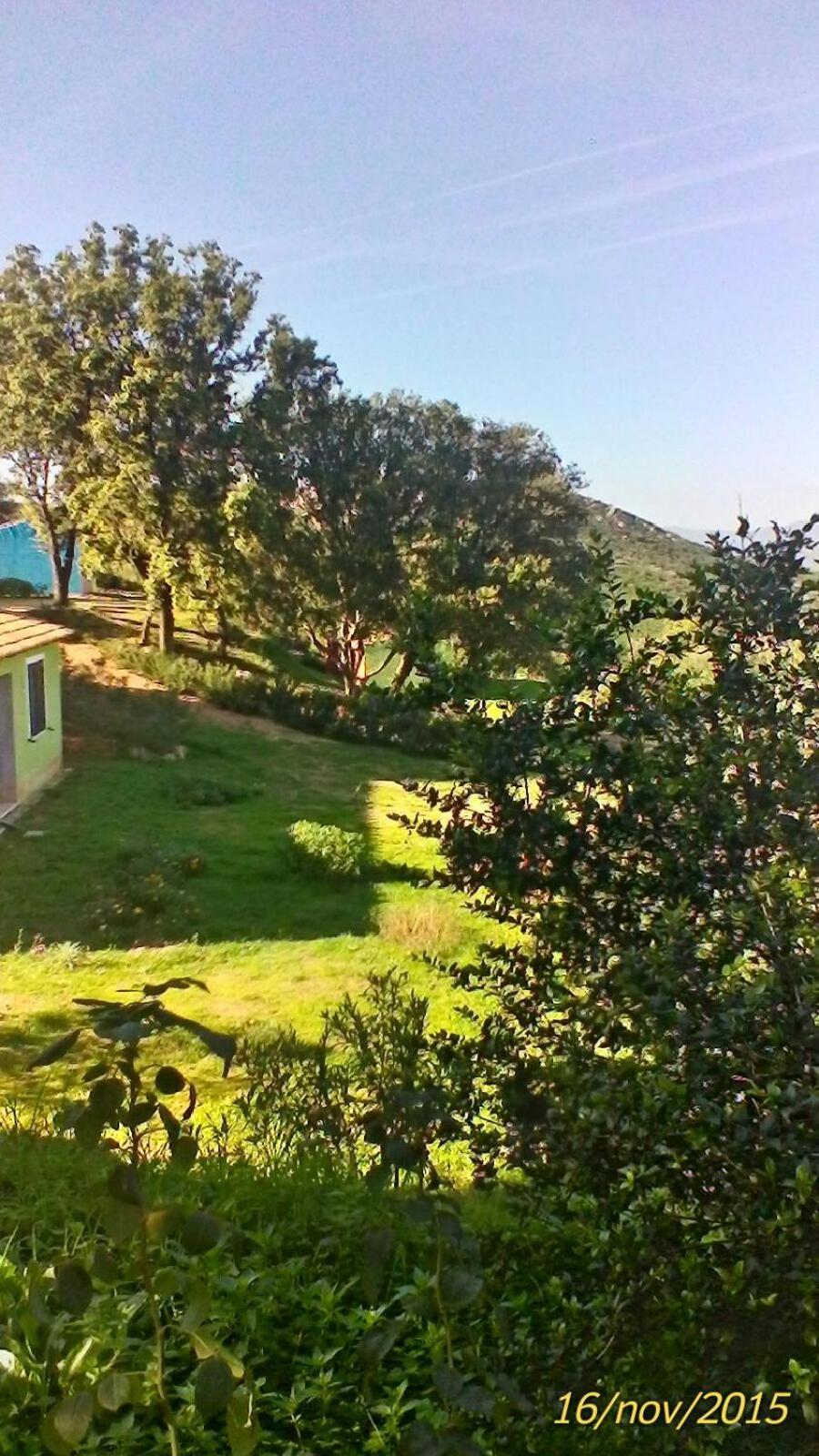 Farm Stay Gli Oleandri Loiri Porto San Paolo Eksteriør billede