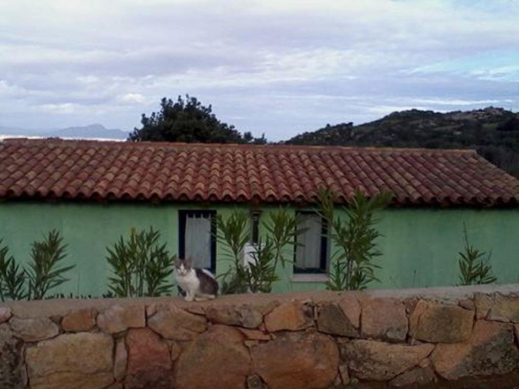 Farm Stay Gli Oleandri Loiri Porto San Paolo Eksteriør billede