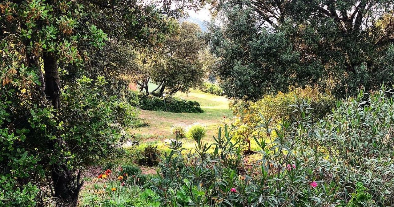 Farm Stay Gli Oleandri Loiri Porto San Paolo Eksteriør billede