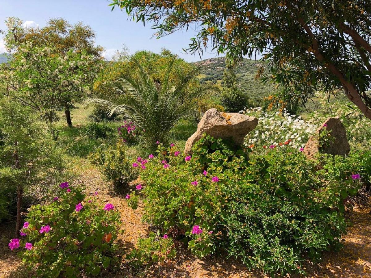 Farm Stay Gli Oleandri Loiri Porto San Paolo Eksteriør billede