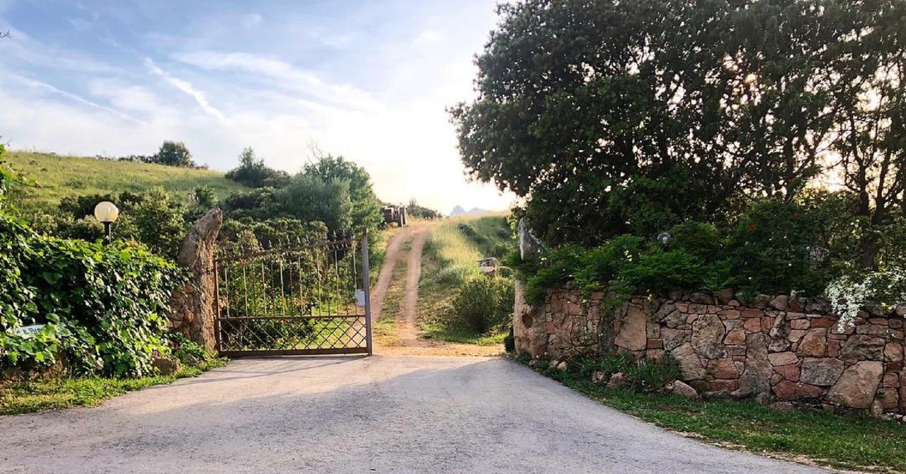 Farm Stay Gli Oleandri Loiri Porto San Paolo Eksteriør billede