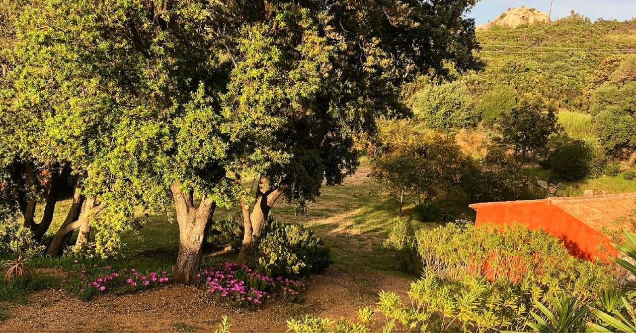 Farm Stay Gli Oleandri Loiri Porto San Paolo Eksteriør billede