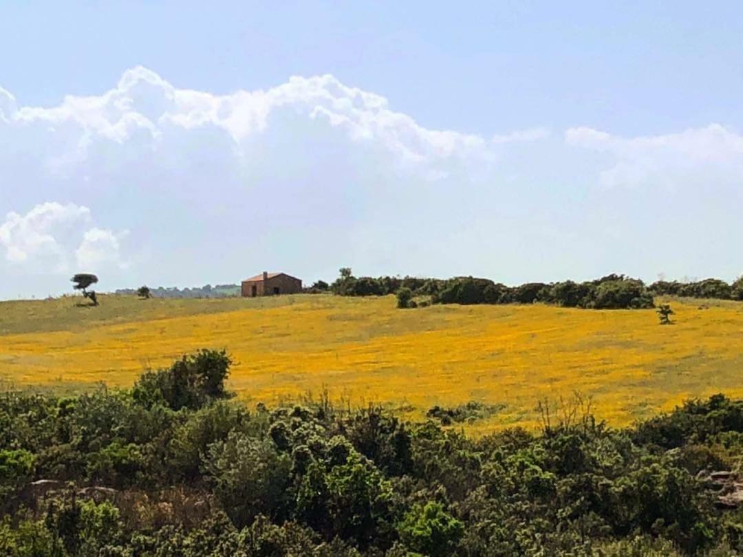 Farm Stay Gli Oleandri Loiri Porto San Paolo Eksteriør billede